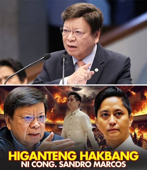 POLITICAL POWER PLAY EXPOSED: Shockwaves Grip the Senate as Senator Marcoleta is Reportedly ‘Overtaken’ by Sudden Palace Move Regarding Controversial Maritime Laws, Leaving Critics to Ask: Was This a Calculated Strategy to Silence Dissent?